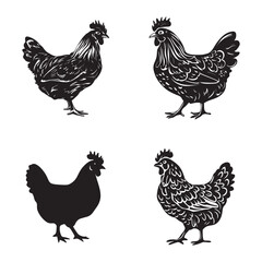 Fototapeta premium Chicken silhouette set black color vector illustration