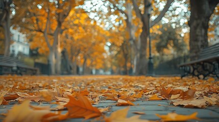 A tranquil autumn scene showcasing fallen orange leaves along a peaceful pathway surrounded by trees.