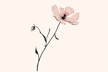 Abstract flower in continuous line art drawing style. One line art. Carnation flower black linear design isolated on background