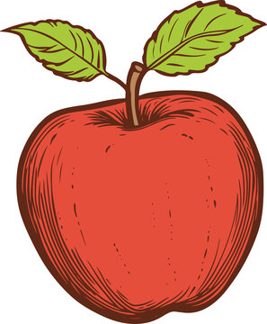 red apple with green leaves