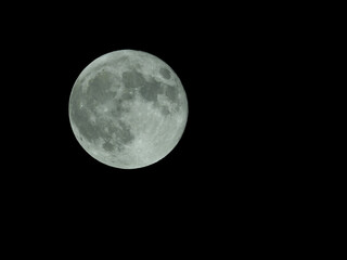 満月