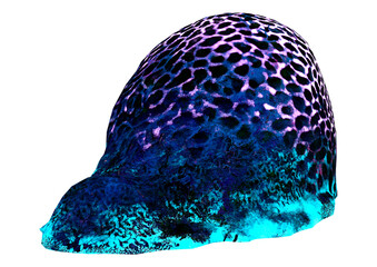 3D Rendering Brain Coral on White