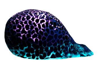 3D Rendering Brain Coral on White © photosvac