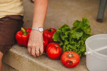 Fresh Garden Produce with woman's hand