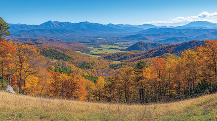 Fototapeta premium Autumn outdoor nature scenery in illustration style