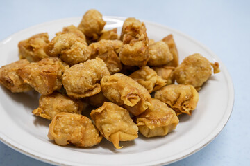Close-up view of the deep fried pork dumpling on the plate. It also knowns as wontons