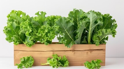 Naklejka premium Fresh green lettuce in a wooden planter, perfect for healthy cooking and vibrant salads.