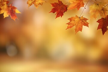 Blurred autumn leaves background