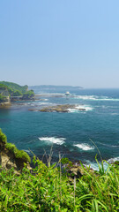日本の海の風景【千葉県勝浦市】かつうら海中公園・海中展望塔