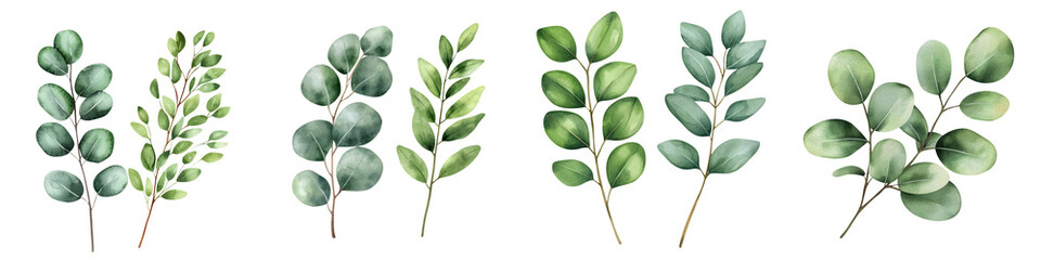 Fototapeta premium A collection of elegant green leaves showcasing diverse shapes and textures, perfect for designs and nature-themed projects.