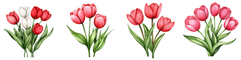 Obraz premium A vibrant collection of tulip flowers showcasing various colors and arrangements, perfect for spring-themed designs.