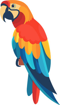 Colorful macaw icon flat on white isolated background, vector design.