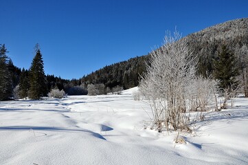 Ferchensee im Winter