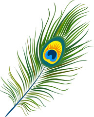 Obraz premium Elegant peacock feather icon flat on white isolated background, vector design.
