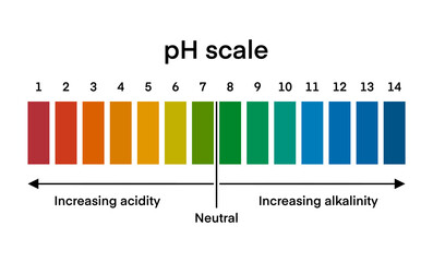 Ph scale diagram, Ph scale graphic, Acid to base, pH scale Infographic acid-base balance, Indicator diagram acidic alkaline measure isolated on white background illustration, Universal pH indicator