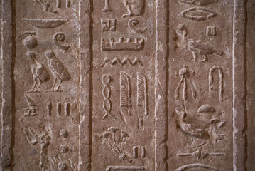 Egyptian hieroglyphics close-up