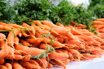 fresh carrots in a market
