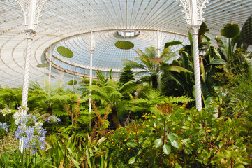 Inside view of the roof Glasgow Botanic Garden
