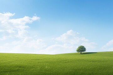 Obraz premium Daytime meadow landscape outdoors horizon.