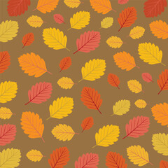 autumn background with colorful leaves