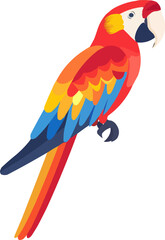 Fototapeta premium Colorful parrot icon flat on white isolated background, vector design.