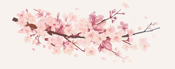Fototapeta premium Illustrate a delicate cherry blossom branch with pink petals in bloom. Vector flat minimalistic isolated illustration