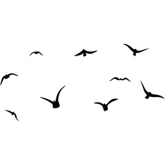 A Flock of Flying Birds