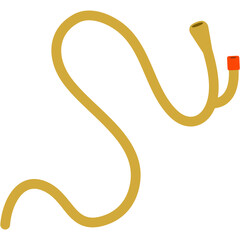 Urinary Catheter Illustration