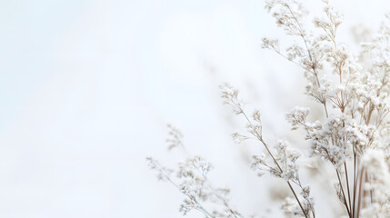 Light and Airy Marketing Background