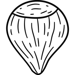 Hand Drawn Nut