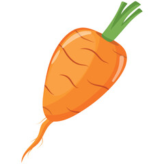 an icon of a root fruit, namely, an oval shape with green leaves and green sprouts, vector