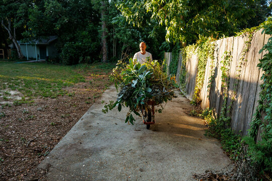 A person walking on a concrete path while pushing a wheelbarrow filled with garden clippings, Florida, USA