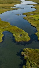 Aerial view of a verdant salt marsh with tidal streams.