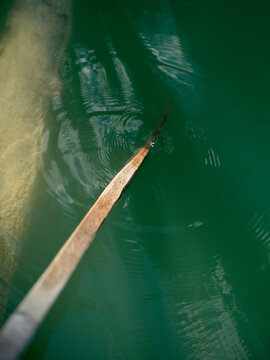 A wooden oar dips into the green tranquil waters, propelling a boat forward with a gentle ripple.
