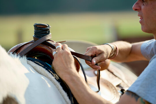 Close-up of a person buckling a leather saddle on a horse during a sunny day.