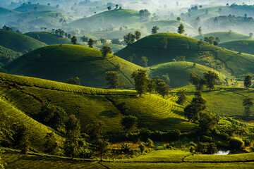 Fototapeta premium landscape with mountains in Viet Nam