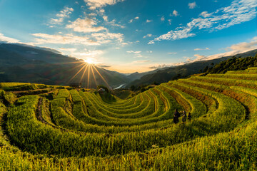 rice terraces in Mu Cang Chai - Viet Nam