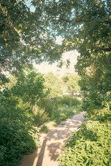 Brick walkway curved paver pathway under tall tree shade canopy with city building background in downtown Austin, Texas, urban forest zero emission ecology community garden, outdoor relaxation