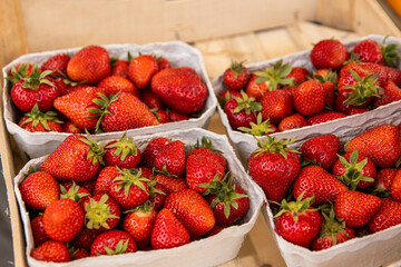 Closeup of  organic freshly harvestedripe ripe red strawberries packed into eco friendly cardboard containers on a local farmers market display. Healthy eating lifestyle, farming marketing concept.