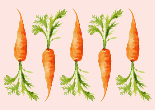 Five watercolor carrots with green tops on a light pink background.