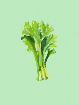 Watercolor painting of a fresh bunch of celery on a soft green background.