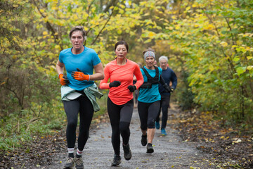 Group of four adults jogging together on a forest trail during autumn
