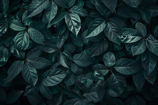 Incredibly detailed background, cinematic shot, professional lighting, 50mm, 80mm, 100mm lenses, lightroom gallery, behance, unsplash quality