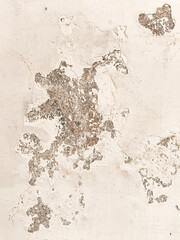 old white pilled wall background