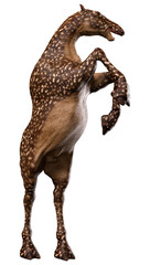 3D Rendering Alien Animal on White