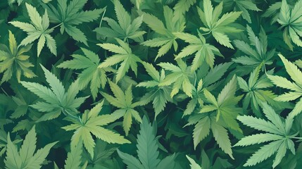 Lush Green Marijuana Leaves Filling the Frame in Organic Botanical Landscape