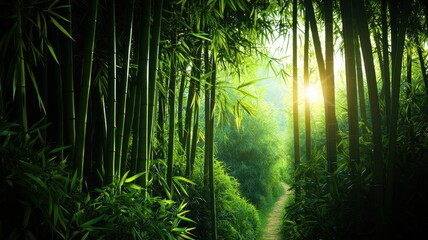 Obraz premium A tranquil bamboo forest with sunlight filtering through the lush greenery, creating a serene and peaceful atmosphere.