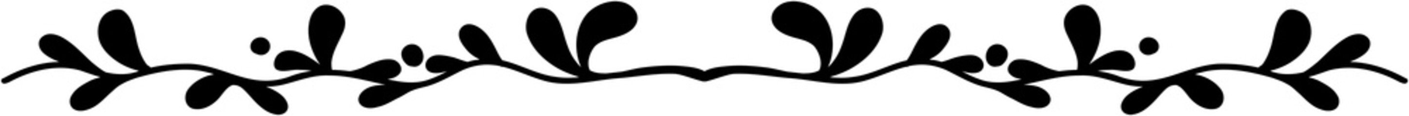 Floral and flower frame divider illustration.