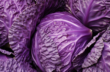 Obraz premium Close-up of the cross-section texture and pattern of purple cabbage