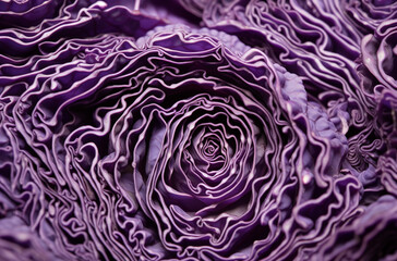 Obraz premium Close-up of the cross-section texture and pattern of purple cabbage